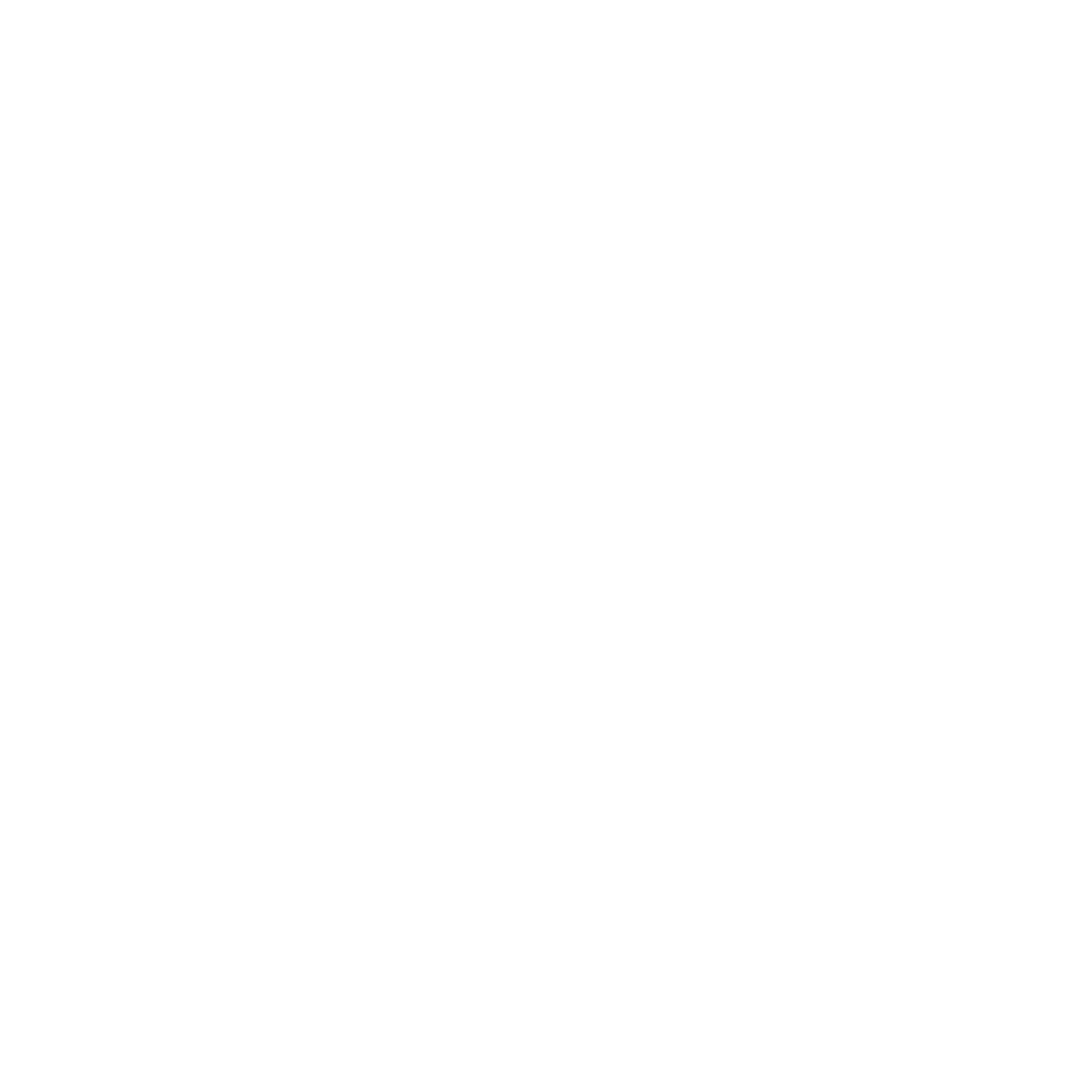 LEM