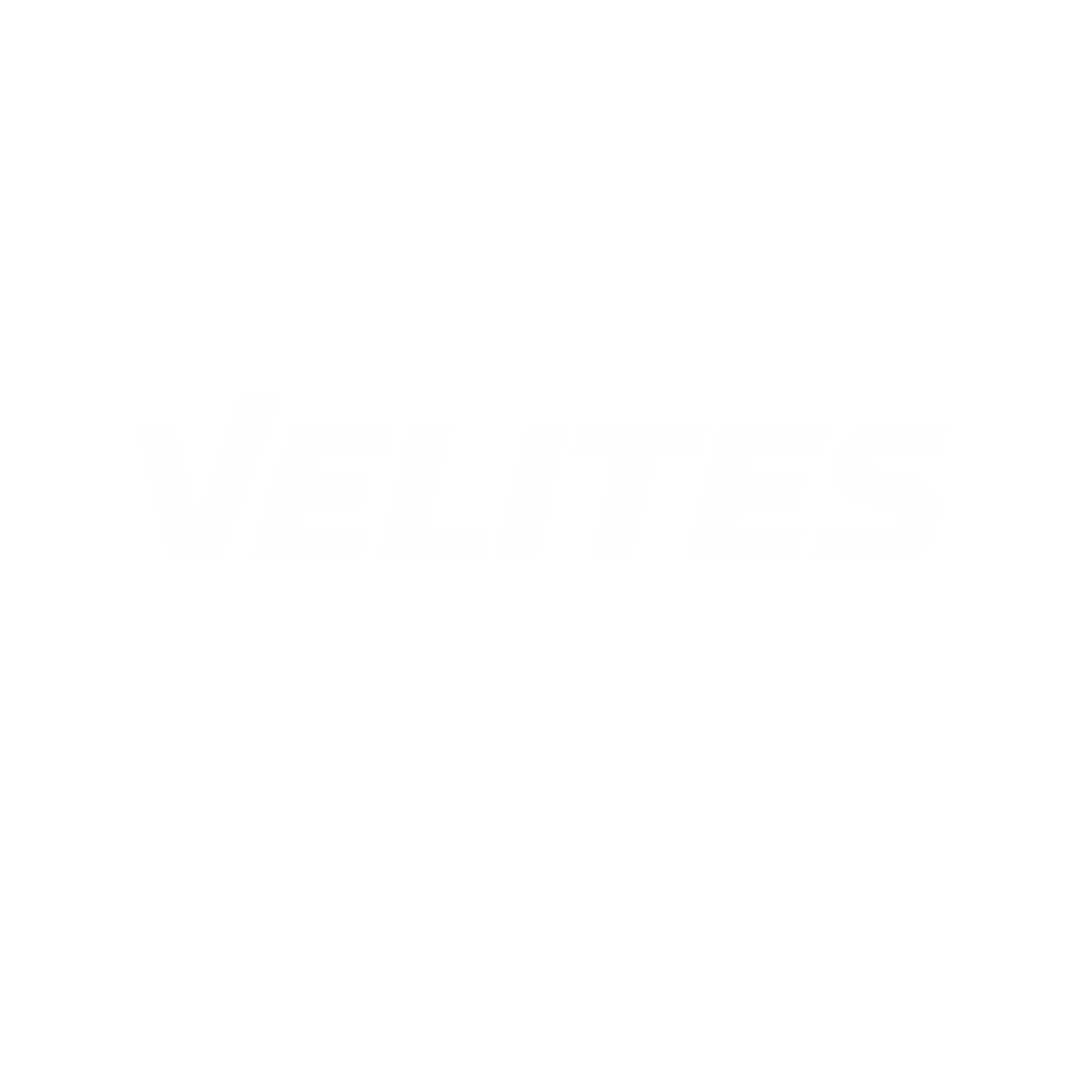 Velites